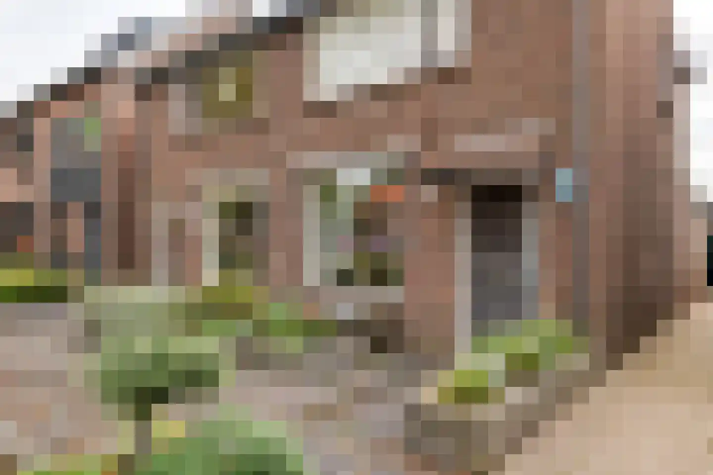 Boslaan 113 Veenendaal thumbnail 5