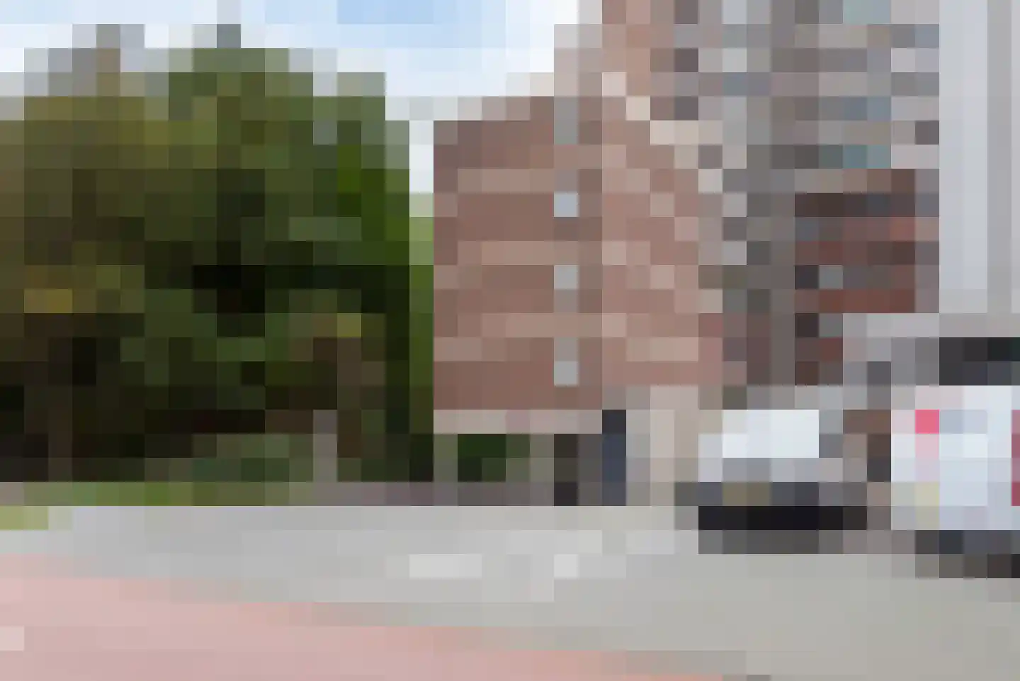 Boslaan 115 Den Haag thumbnail 6