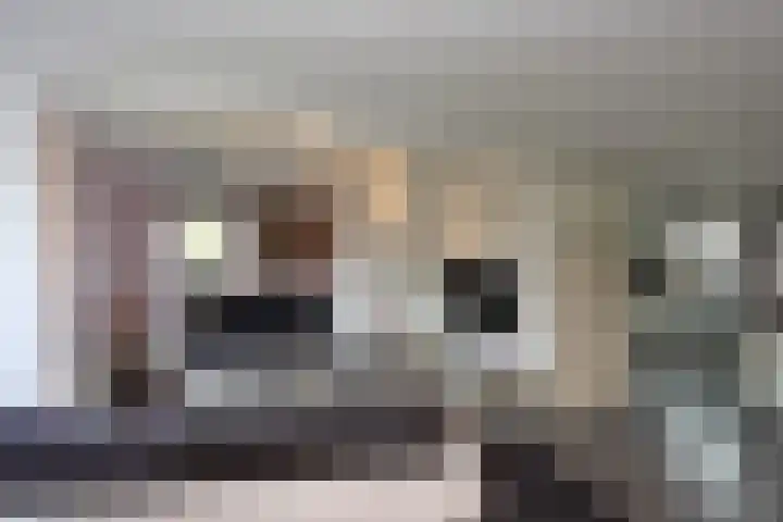 Boslaan 115 Dronten thumbnail 11