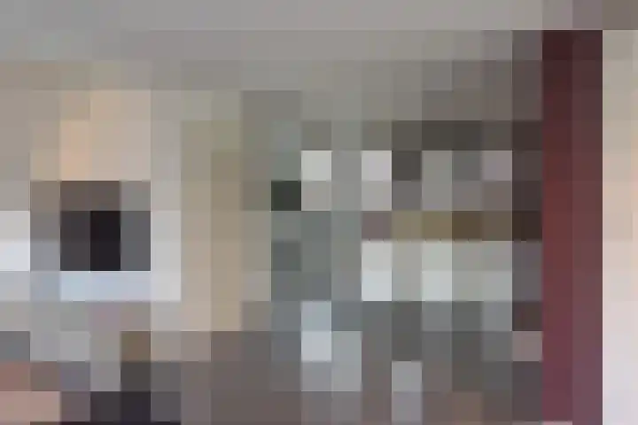 Boslaan 115 Dronten thumbnail 13