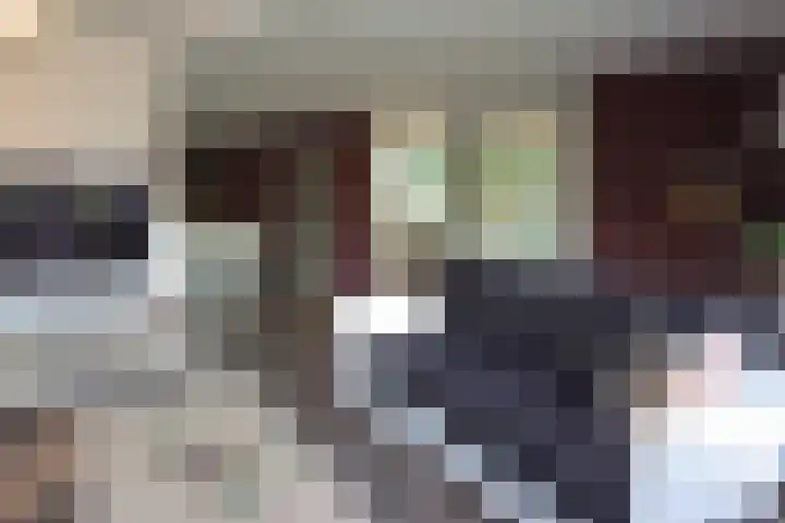 Boslaan 115 Dronten thumbnail 15
