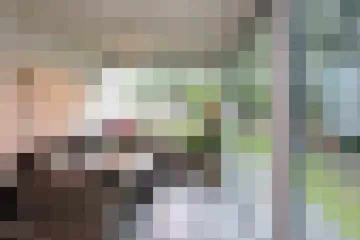 Boslaan 115 Dronten thumbnail 21