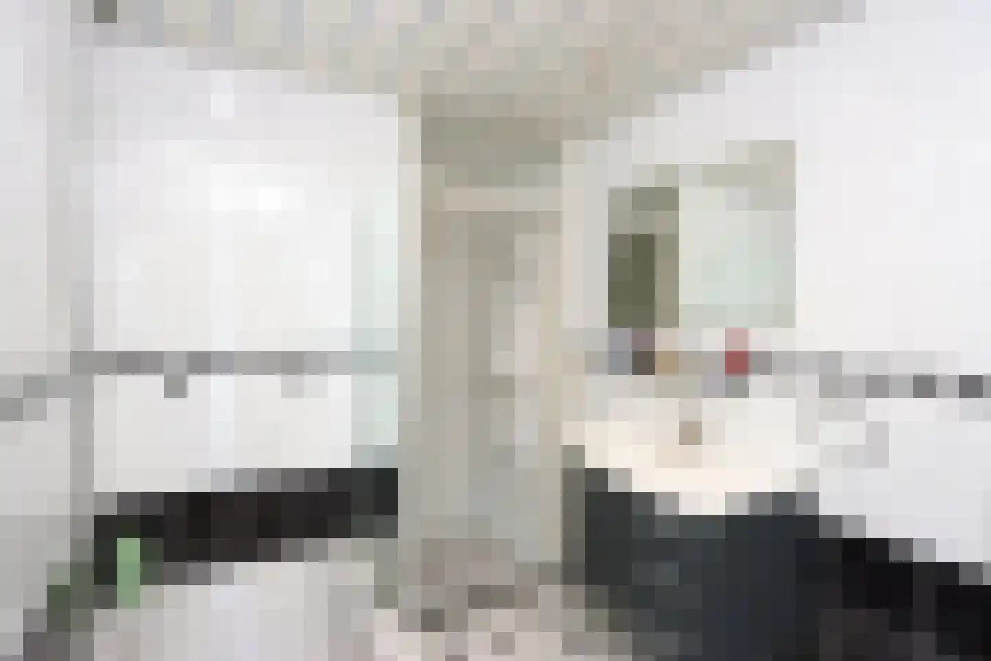 Boslaan 115 Dronten thumbnail 30