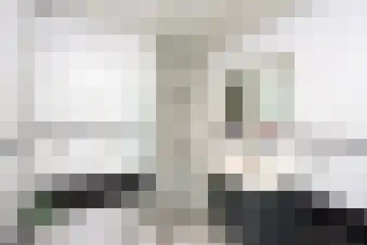 Boslaan 115 Dronten thumbnail 30