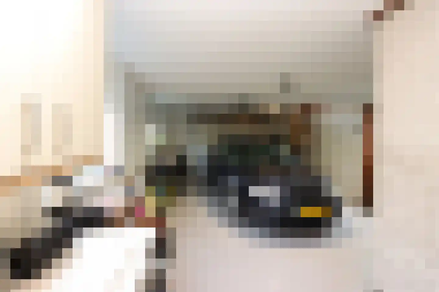 Boslaan 115 Dronten thumbnail 33
