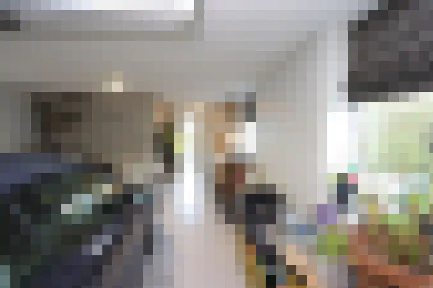 Boslaan 115 Dronten thumbnail 35