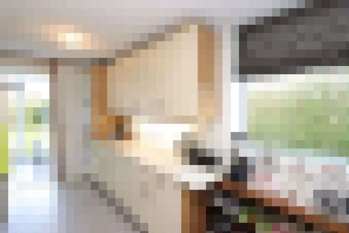 Boslaan 115 Dronten thumbnail 36