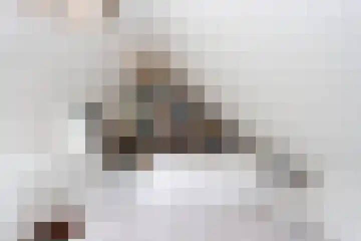 Boslaan 115 Dronten thumbnail 37