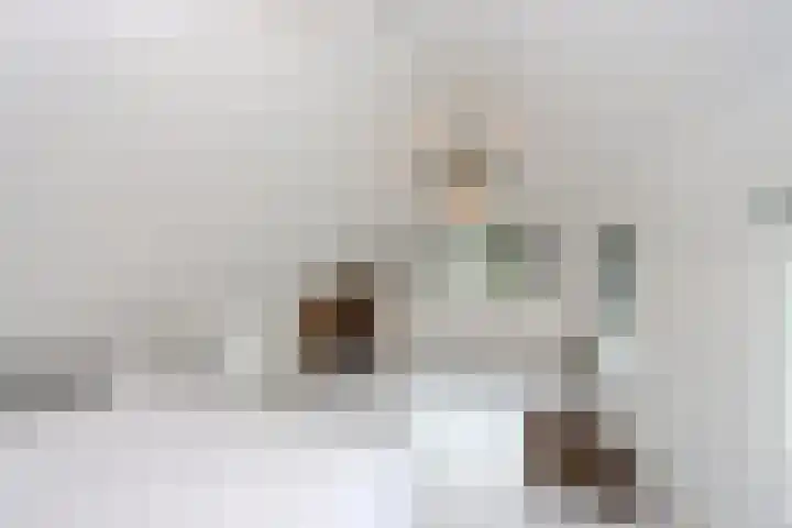 Boslaan 115 Dronten thumbnail 38