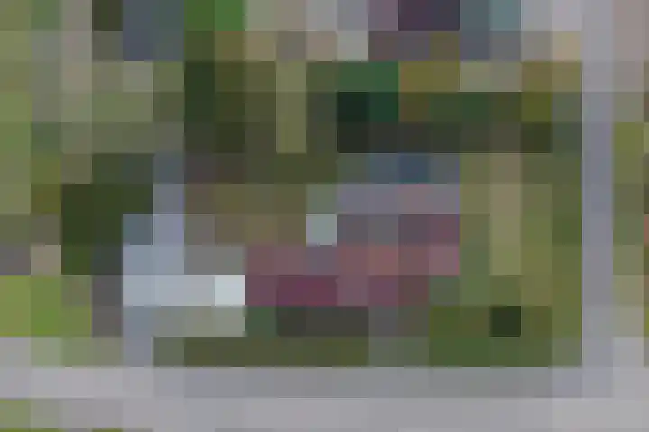 Boslaan 115 Dronten thumbnail 39