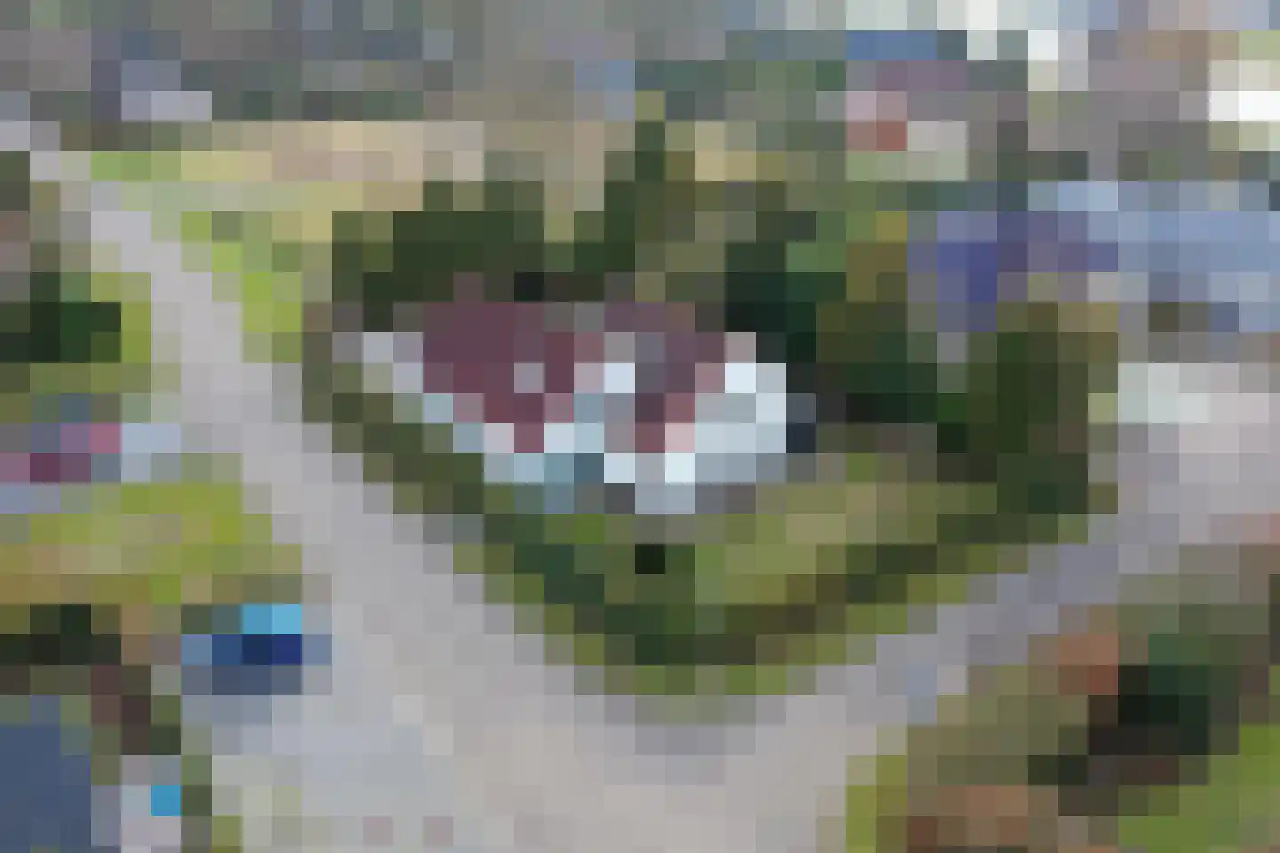 Boslaan 115 Dronten thumbnail 4