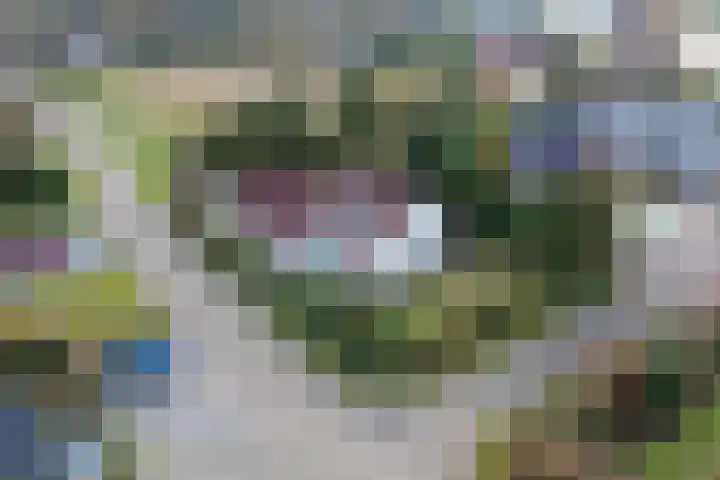 Boslaan 115 Dronten thumbnail 4