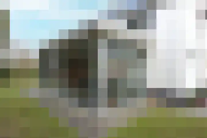Boslaan 115 Dronten thumbnail 42