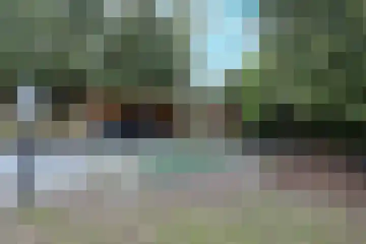 Boslaan 115 Dronten thumbnail 43