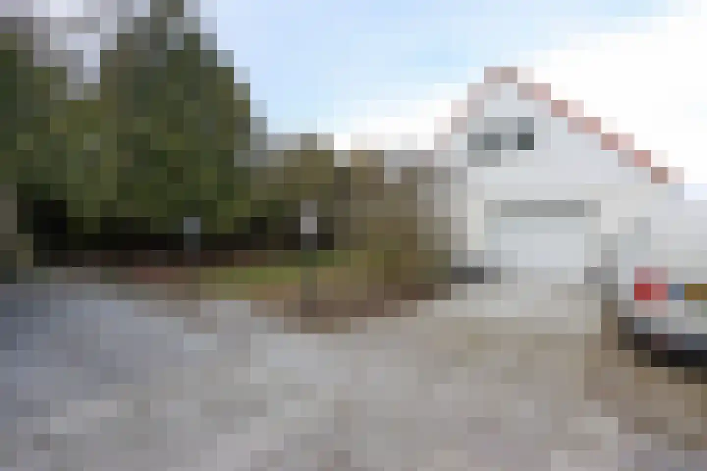 Boslaan 115 Dronten thumbnail 44
