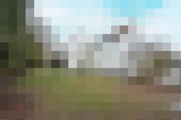 Boslaan 115 Dronten thumbnail 45