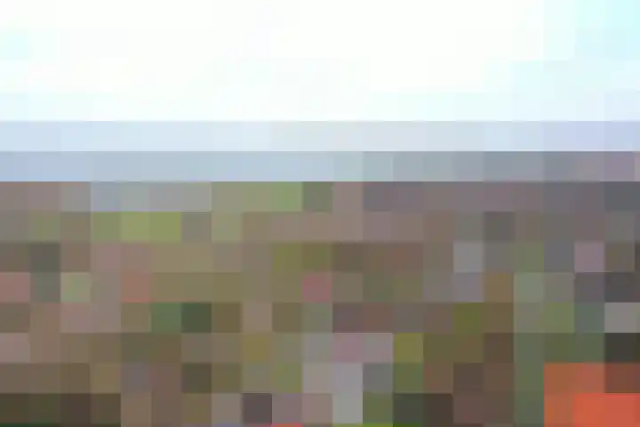 Boslaan 115 Dronten thumbnail 46