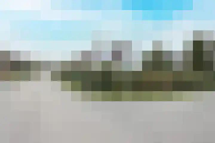 Boslaan 115 Dronten thumbnail 5