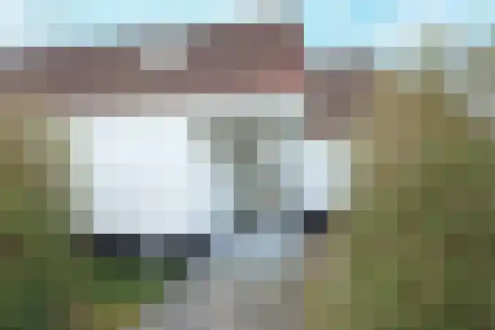 Boslaan 115 Dronten thumbnail 6