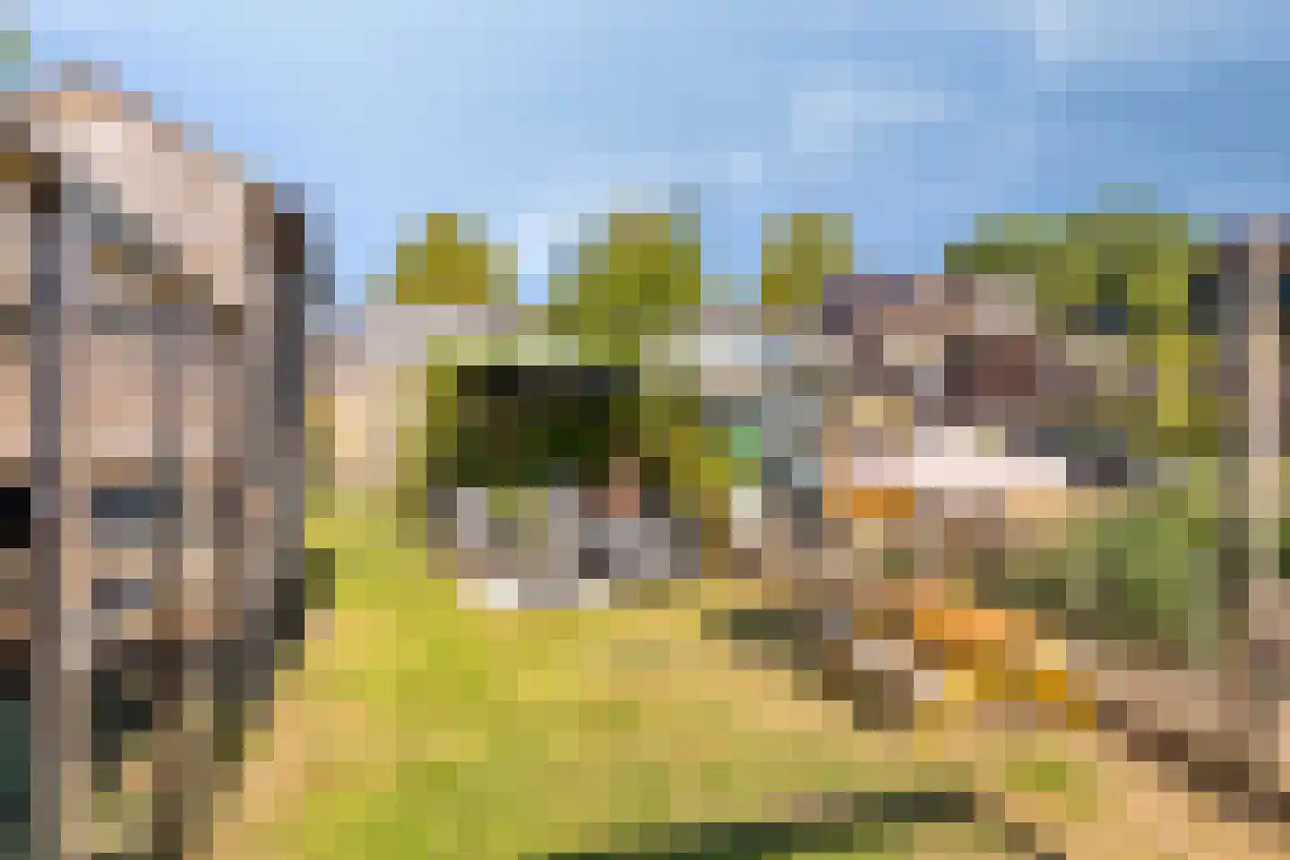 Boslaan 117 Veenendaal thumbnail 30