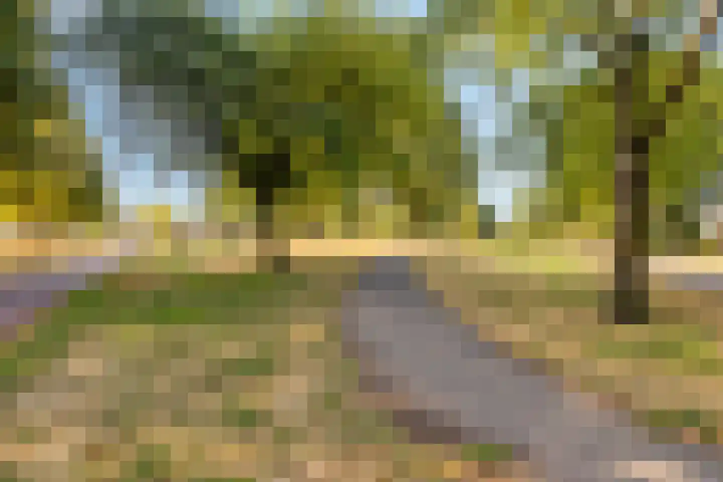 Boslaan 117 Veenendaal thumbnail 32