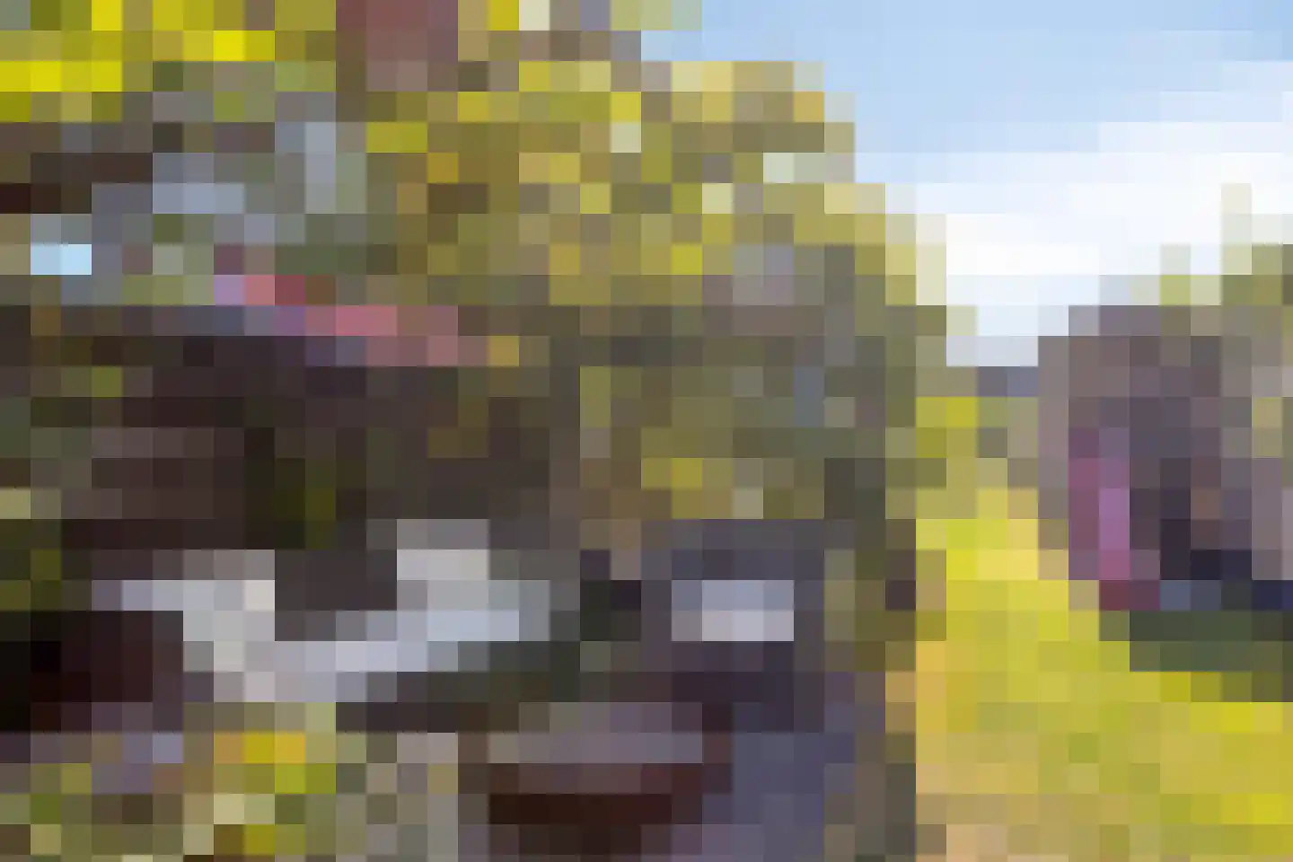 Boslaan 117 Veenendaal thumbnail 4