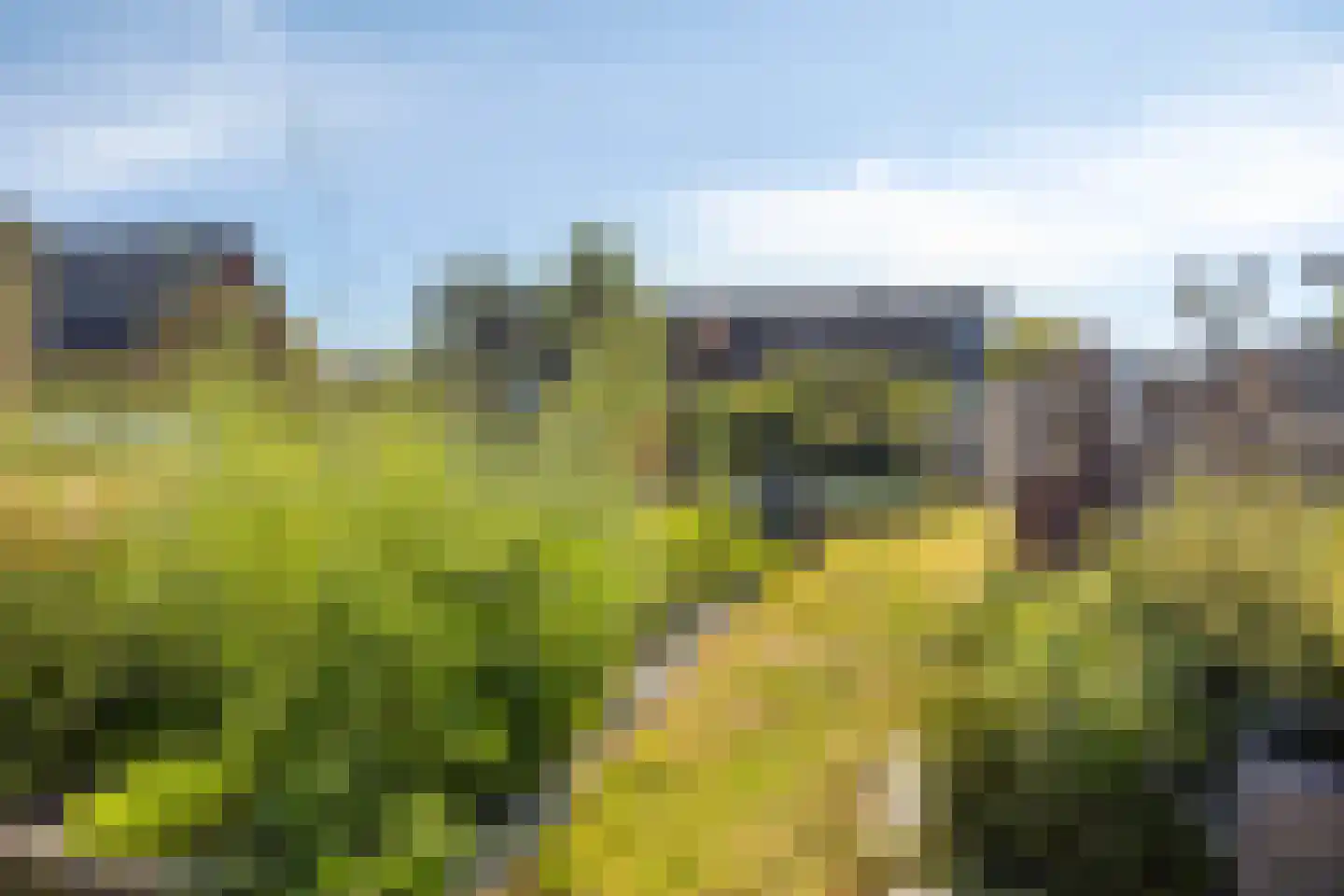 Boslaan 117 Veenendaal thumbnail 5