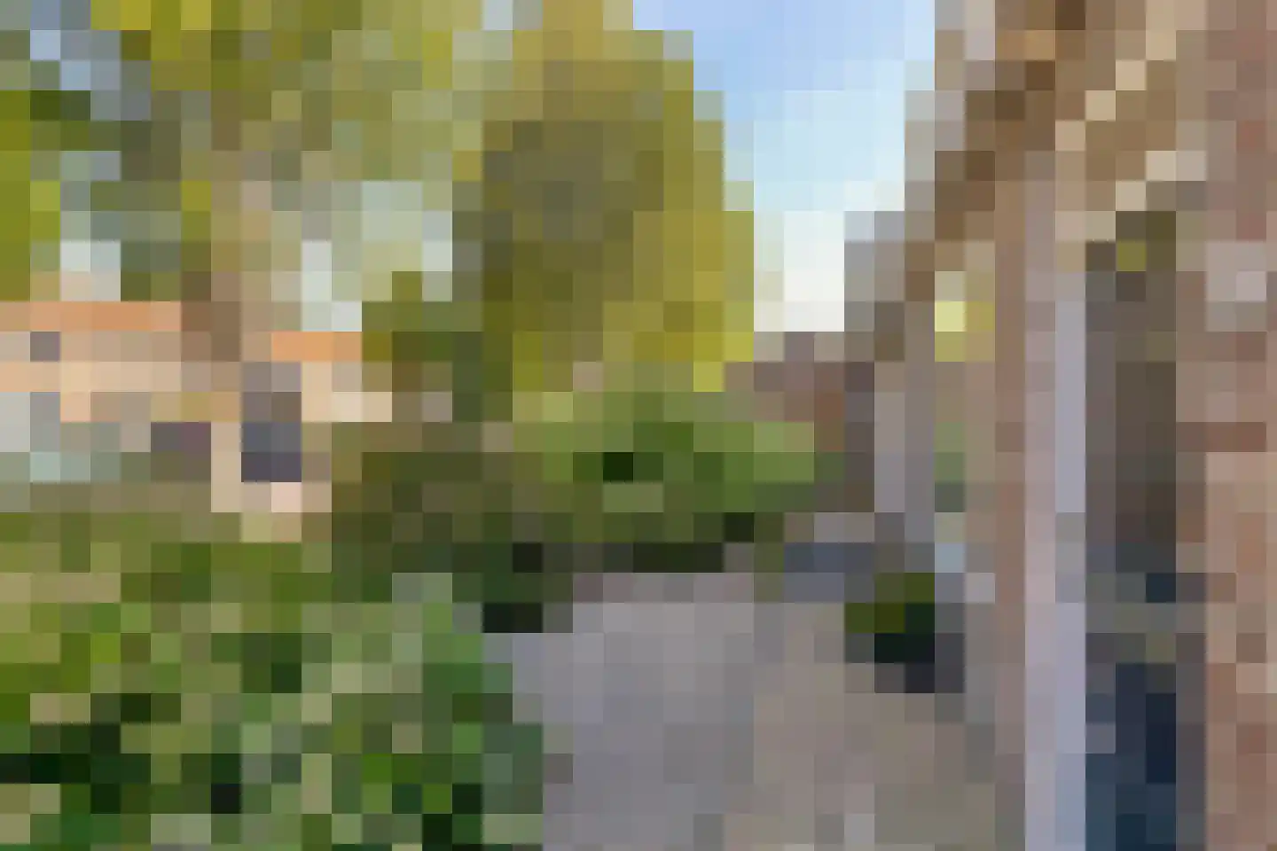 Boslaan 117 Veenendaal thumbnail 7