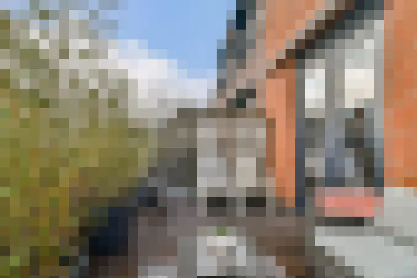 Boslaan 12 A Vlaardingen thumbnail 30