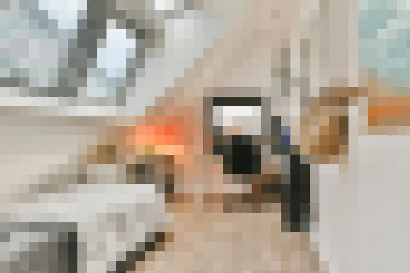 Boslaan 12 A Vlaardingen thumbnail 32