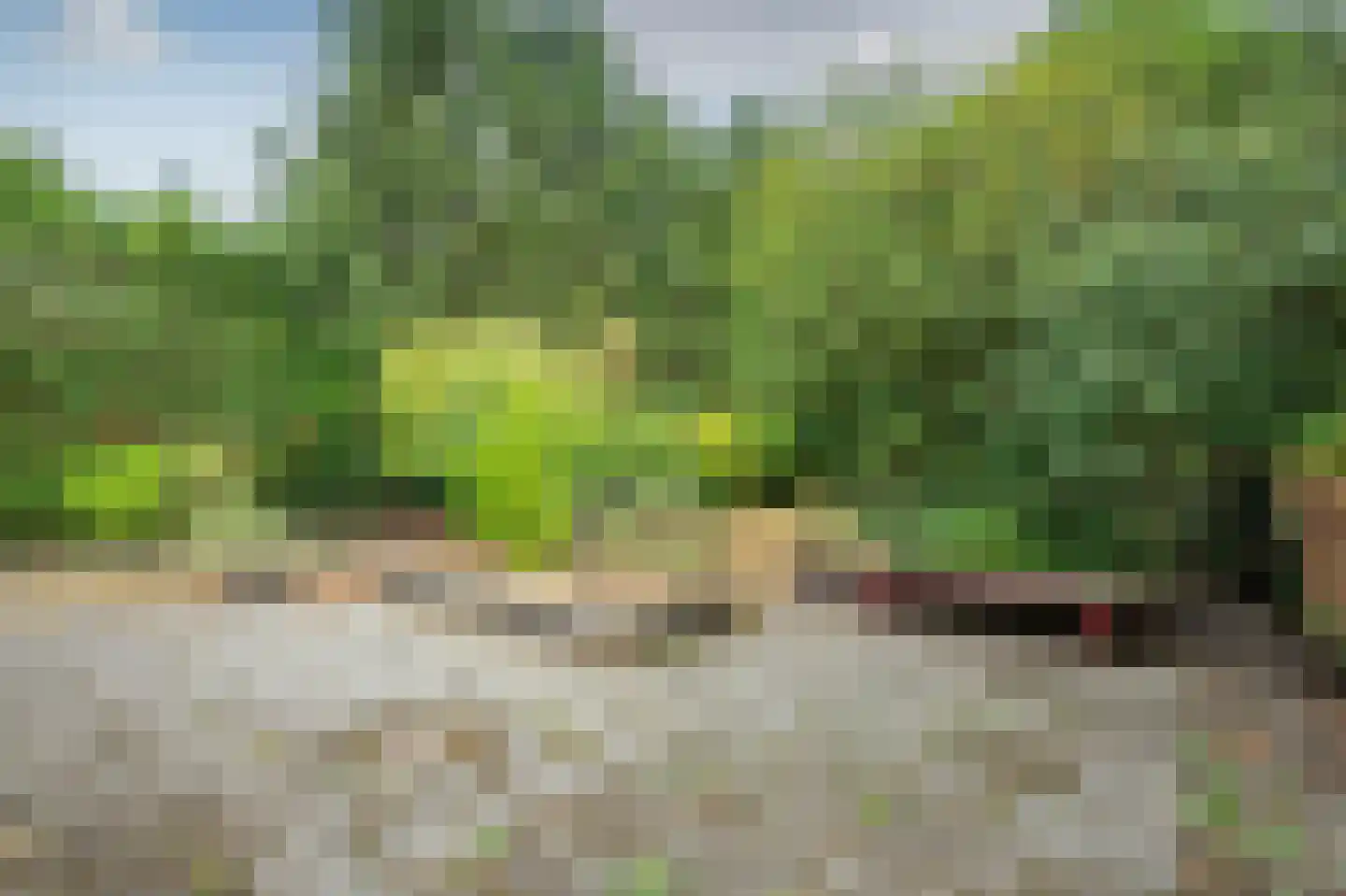 Boslaan 128 Emmen thumbnail 27