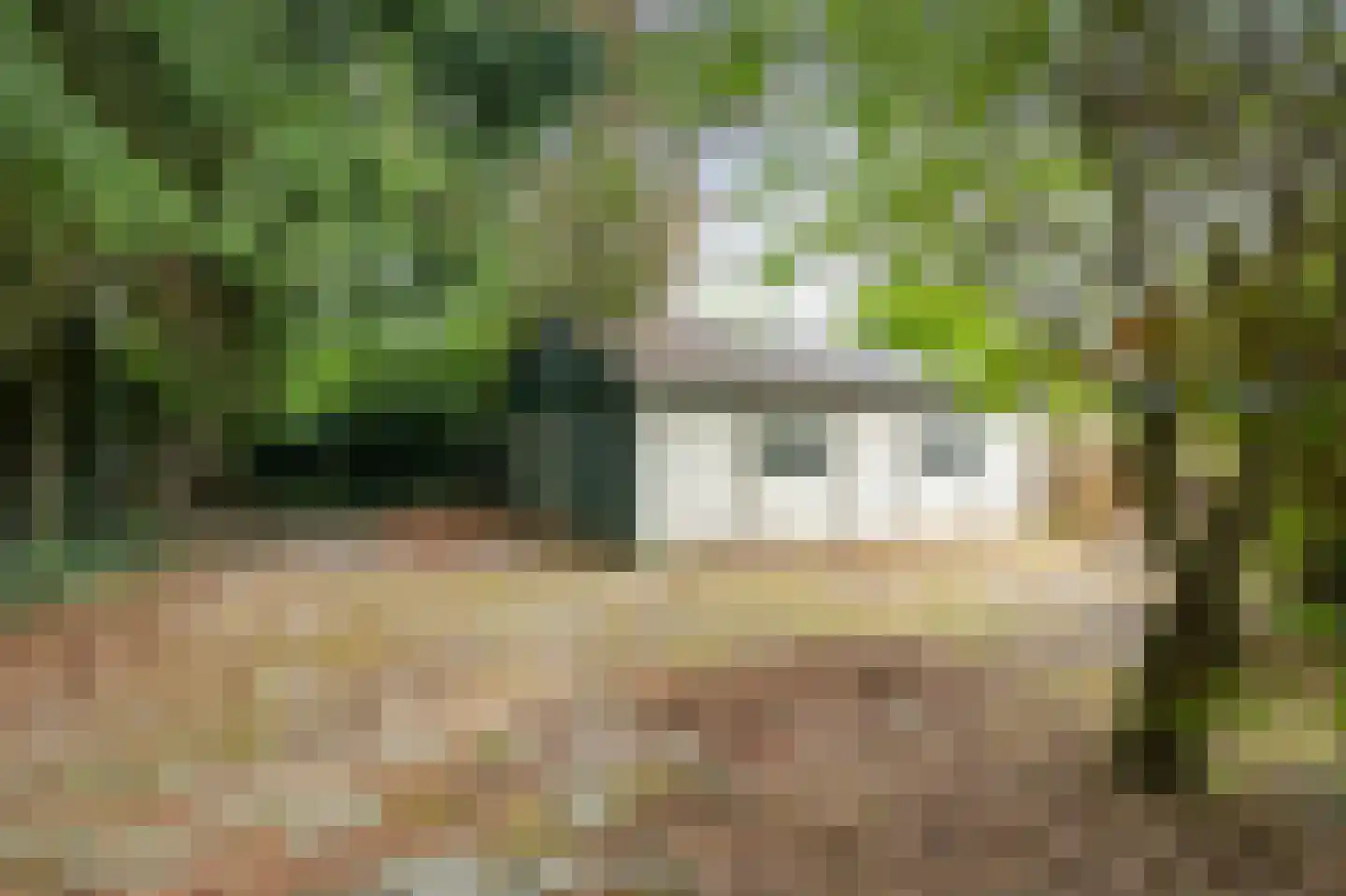 Boslaan 128 Emmen thumbnail 29