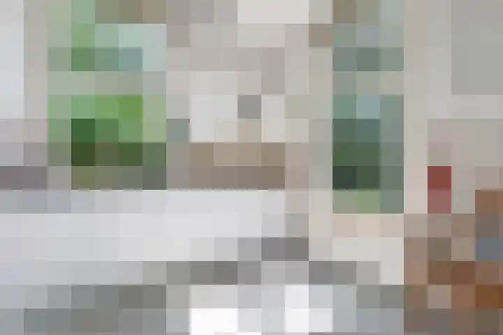 Boslaan 13 Balkbrug thumbnail 14