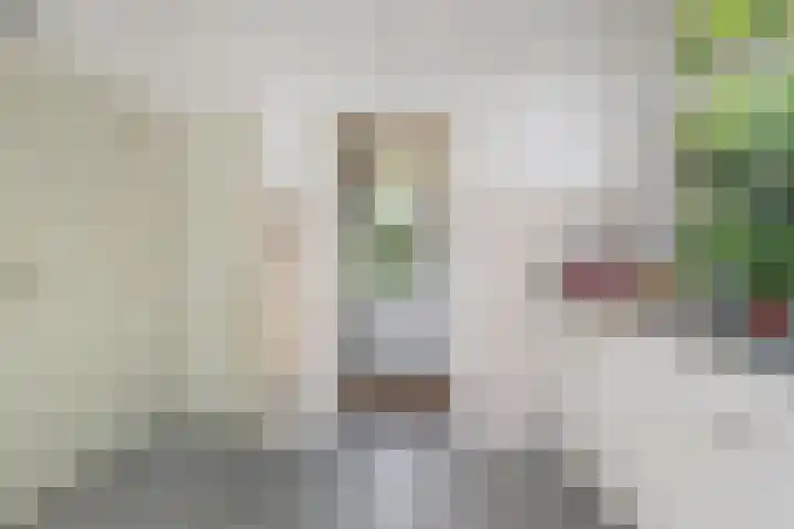Boslaan 13 Balkbrug thumbnail 15