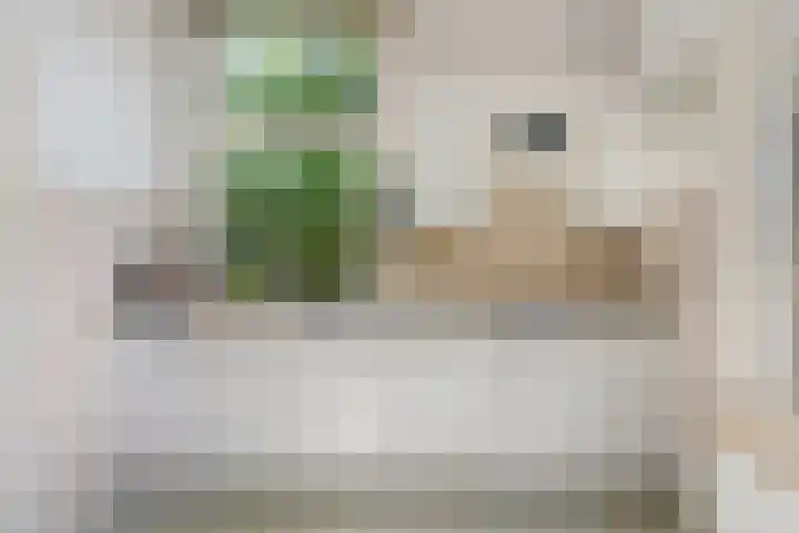 Boslaan 13 Balkbrug thumbnail 16