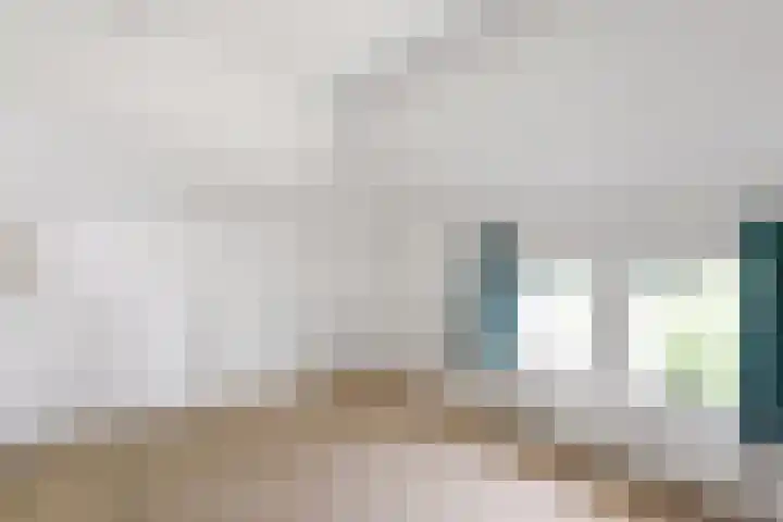 Boslaan 13 Balkbrug thumbnail 28