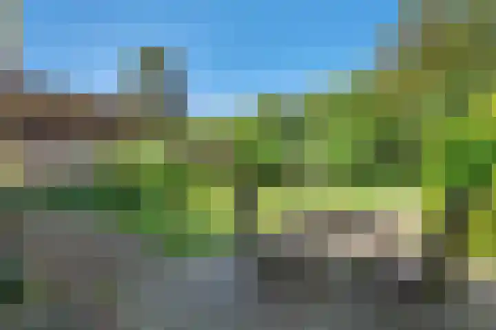 Boslaan 13 Balkbrug thumbnail 34