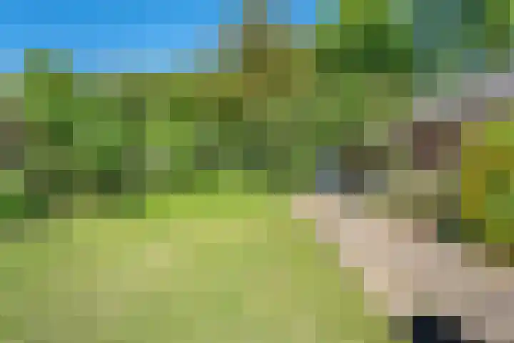 Boslaan 13 Balkbrug thumbnail 35