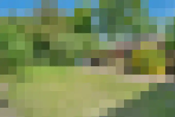 Boslaan 13 Balkbrug thumbnail 36