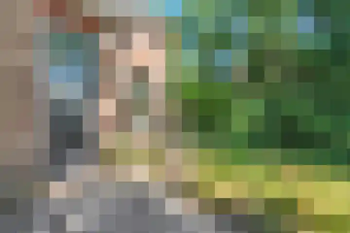 Boslaan 13 Balkbrug thumbnail 4