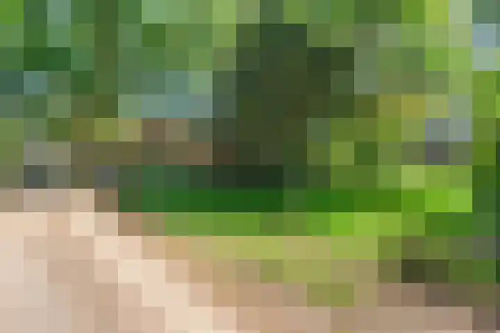 Boslaan 13 Balkbrug thumbnail 40