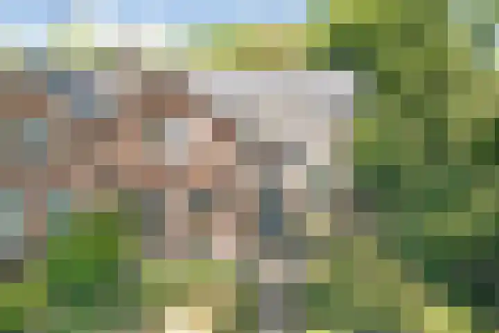 Boslaan 13 Balkbrug thumbnail 42