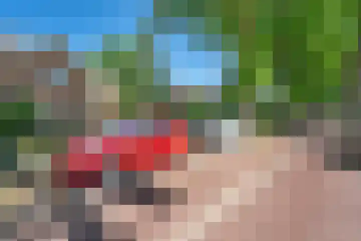 Boslaan 13 Balkbrug thumbnail 43