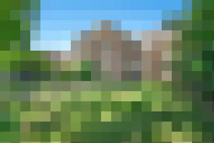 Boslaan 13 Balkbrug thumbnail 45
