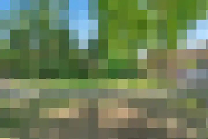 Boslaan 13 Balkbrug thumbnail 46