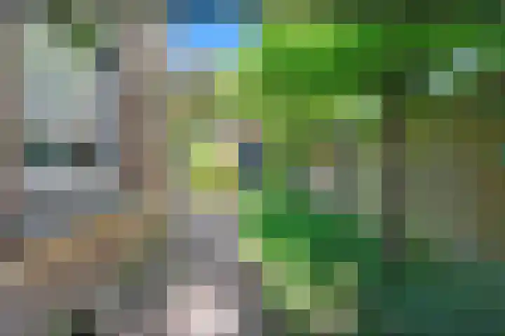 Boslaan 13 Balkbrug thumbnail 47
