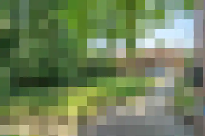 Boslaan 13 Balkbrug thumbnail 48
