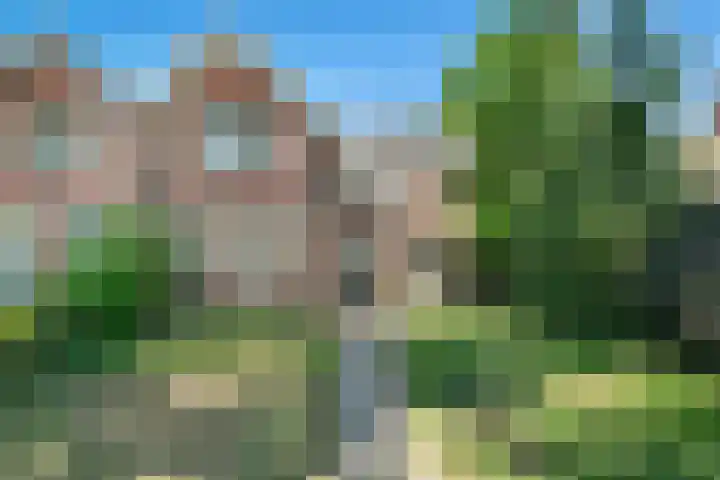 Boslaan 13 Balkbrug thumbnail 49