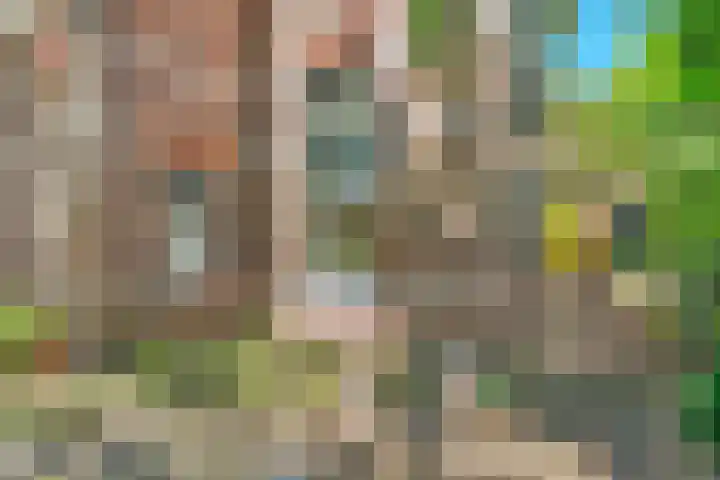 Boslaan 13 Balkbrug thumbnail 5
