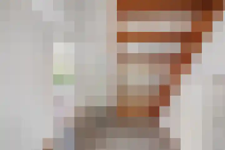 Boslaan 13 Balkbrug thumbnail 6